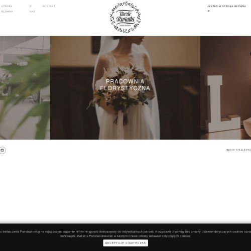 Oświetlenie na wesele - Kraków