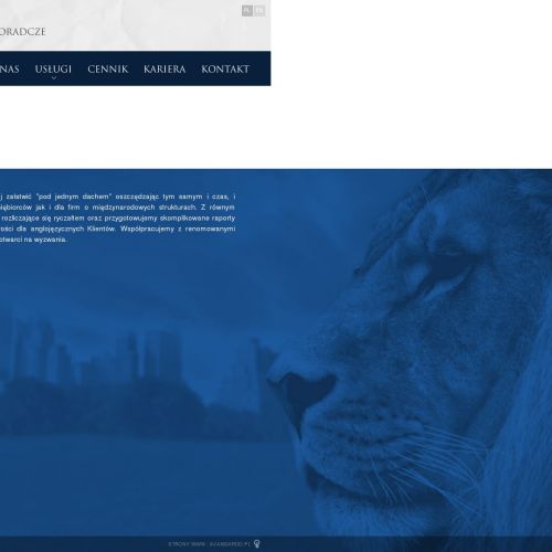 Profesjonalne biuro rachunkowe