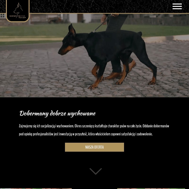 Hodowla dobermanów w Polsce
