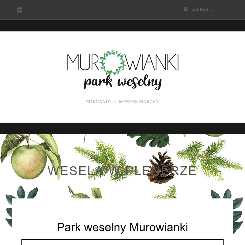 Ślub i wesele w plenerze