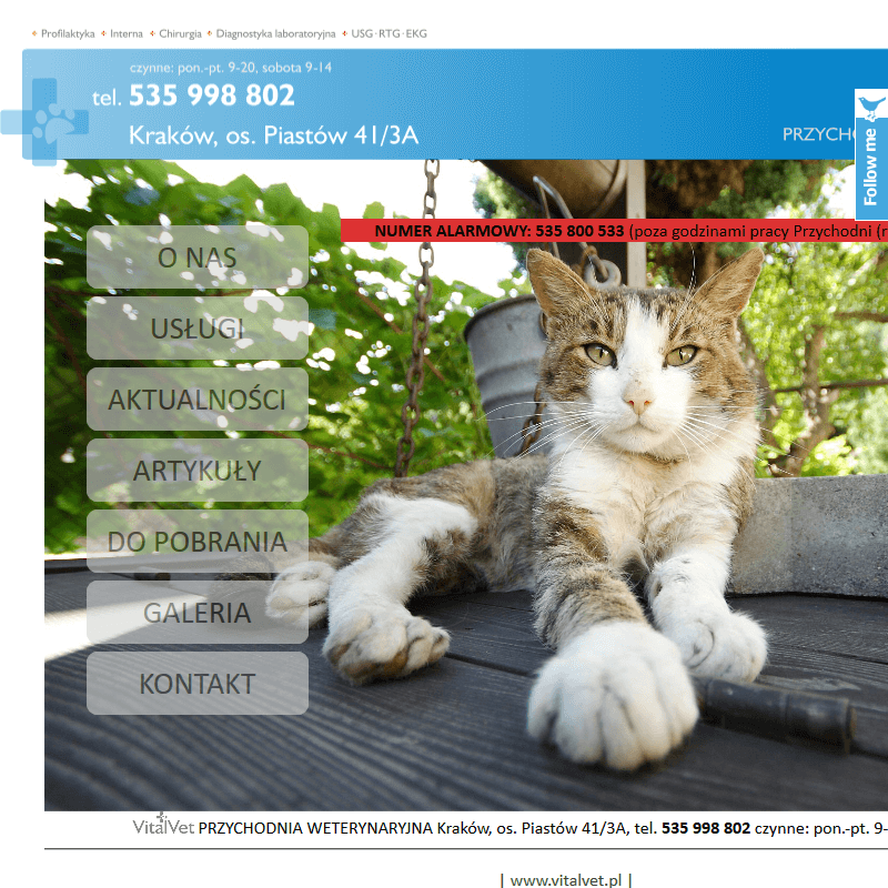 Przychodnia weterynaryjna - Skawina